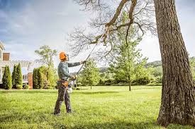 Best Emergency Tree Removal  in Georgetown, PA